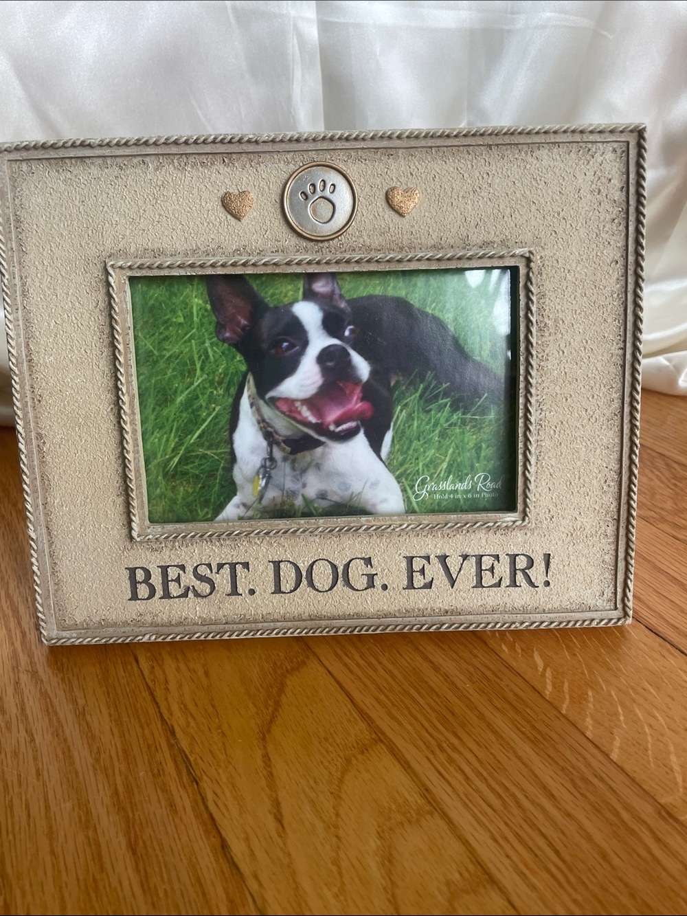 Best. Dog. Ever! Beige Pet Photo Frame - Decorative Dog Picture Frame